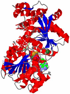 Image Asym./Biol. Unit