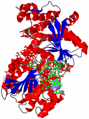 Image Asym./Biol. Unit - sites