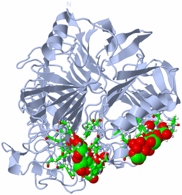 Image Biol. Unit 1 - sites