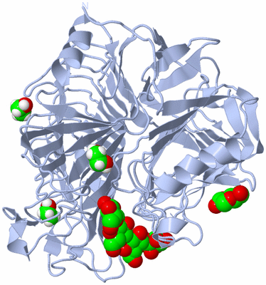 Image Biological Unit 1