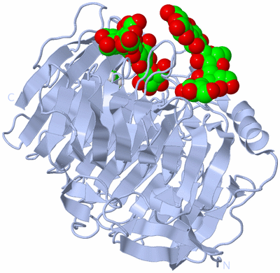 Image Biological Unit 1