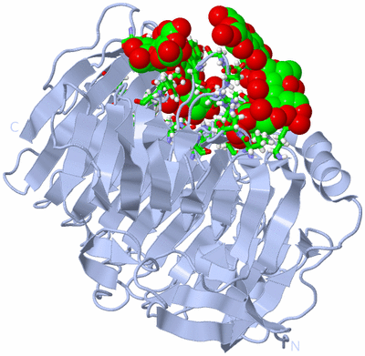 Image Biol. Unit 1 - sites