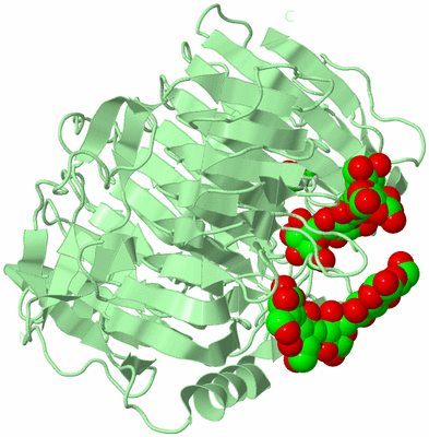 Image Biological Unit 2