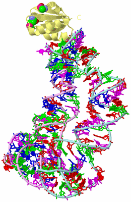 Image Biological Unit 2