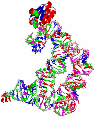 Image Asym./Biol. Unit