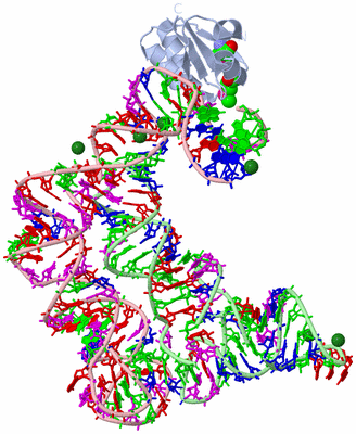 Image Biological Unit 1