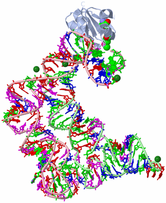 Image Biol. Unit 1 - sites