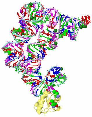 Image Biological Unit 2