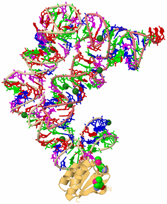 Image Biological Unit 3