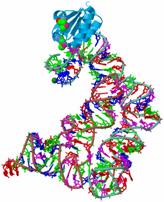 Image Biological Unit 4