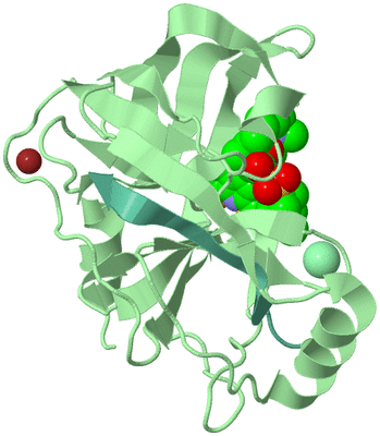 Image Biological Unit 2