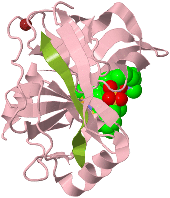 Image Biological Unit 3