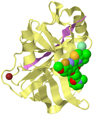 Image Biological Unit 4