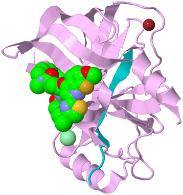 Image Biological Unit 5