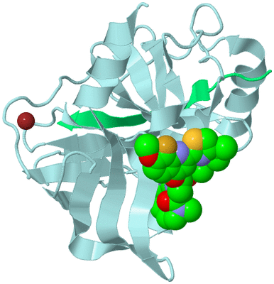 Image Biological Unit 6