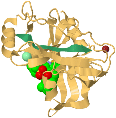 Image Biological Unit 7