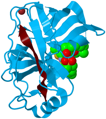 Image Biological Unit 9