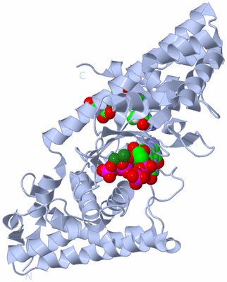 Image Biological Unit 1