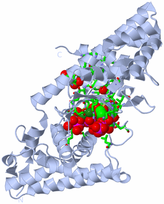 Image Biol. Unit 1 - sites