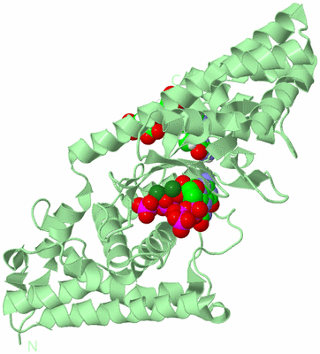 Image Biological Unit 2