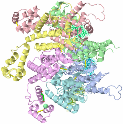 Image Biol. Unit 1 - sites