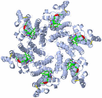 Image Biol. Unit 1 - sites