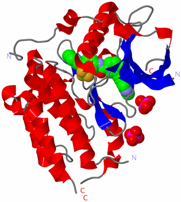 Image Asym./Biol. Unit