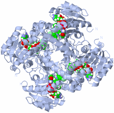 Image Biological Unit 1