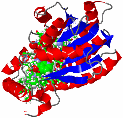 Image Asym. Unit - sites