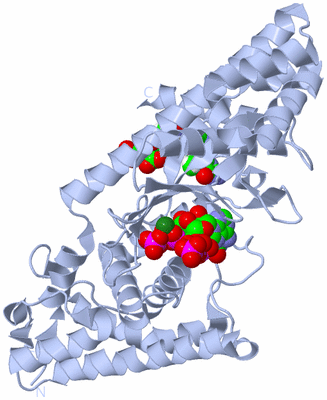 Image Biological Unit 1