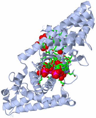 Image Biol. Unit 1 - sites