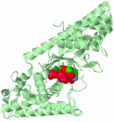 Image Biological Unit 2