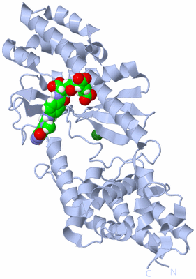 Image Biological Unit 1