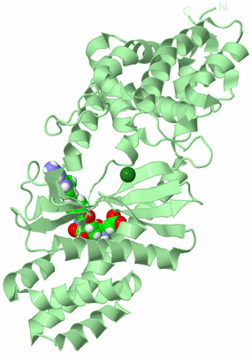 Image Biological Unit 2