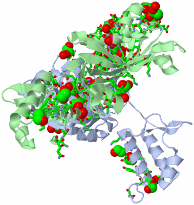 Image Asym./Biol. Unit - sites