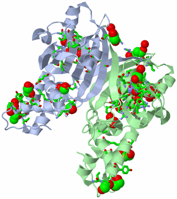 Image Asym./Biol. Unit - sites