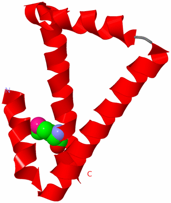 Image Asymmetric Unit