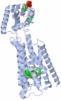 Image Biol. Unit 1 - sites