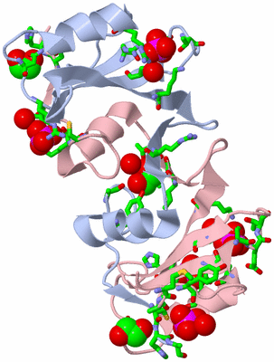 Image Biol. Unit 1 - sites