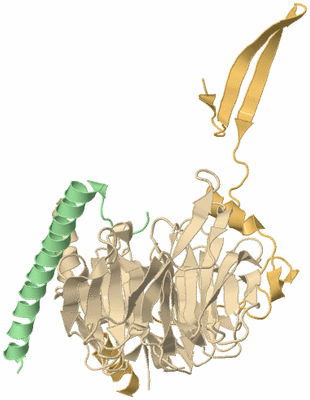 Image Asym./Biol. Unit