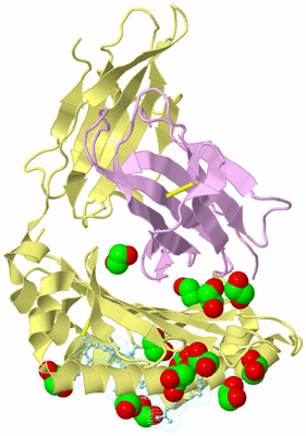 Image Biological Unit 2