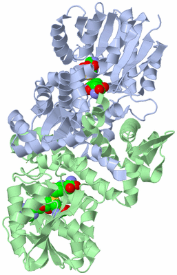 Image Biological Unit 1