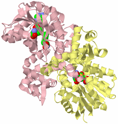 Image Biological Unit 2