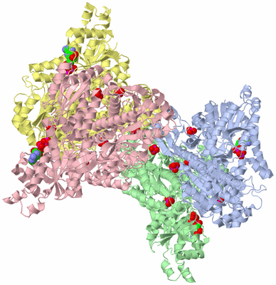 Image Asym./Biol. Unit