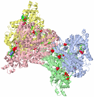 Image Asym./Biol. Unit - sites