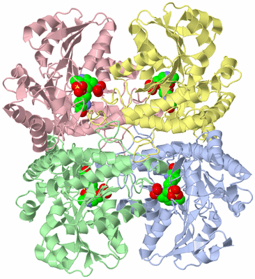 Image Biological Unit 1