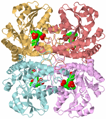 Image Biological Unit 2