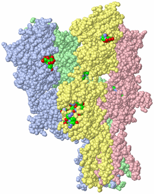 Image Asym./Biol. Unit - sites