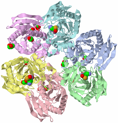 Image Asym./Biol. Unit