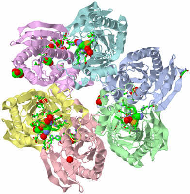 Image Asym./Biol. Unit - sites